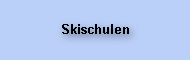 Skischulen